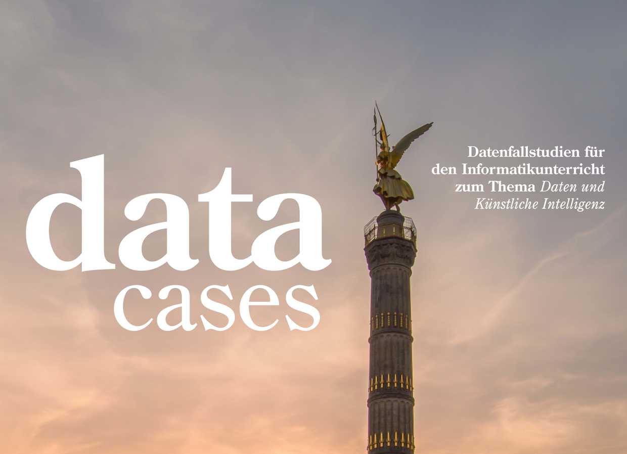 Data Cases cover image