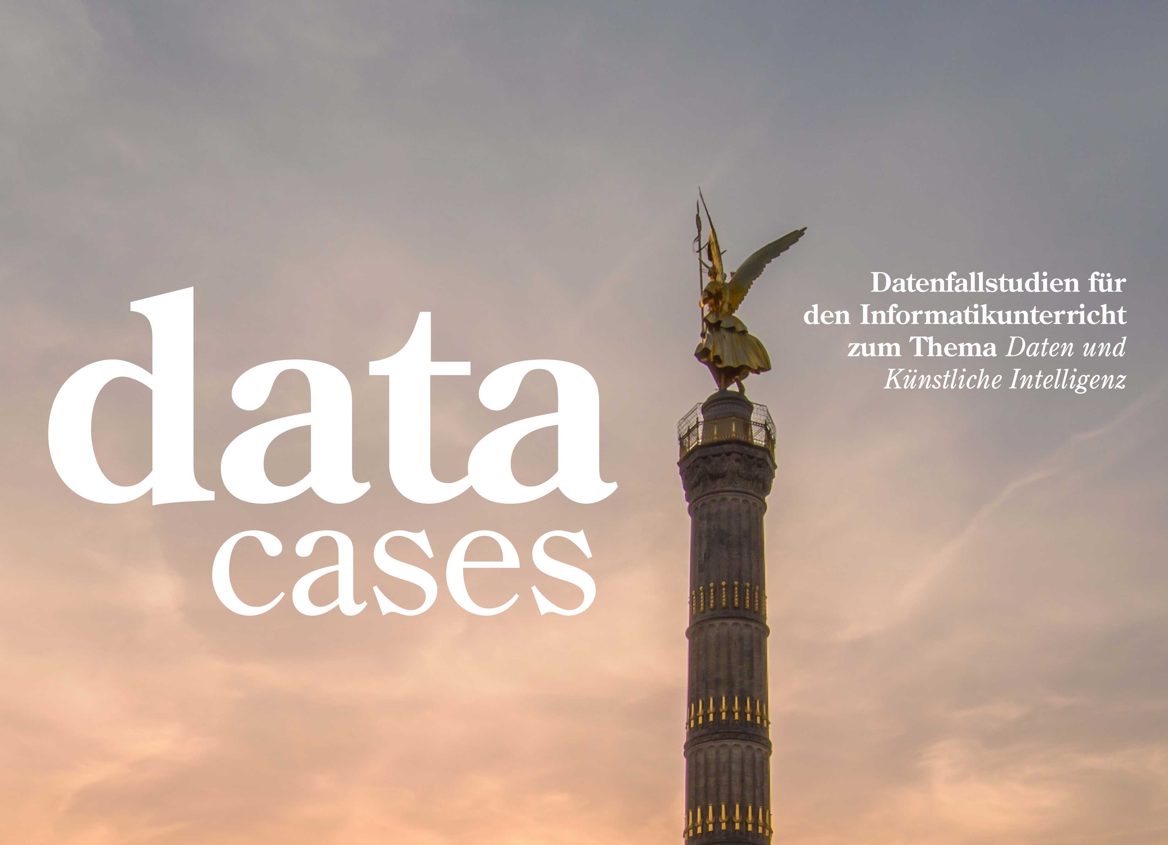 Data Cases cover image